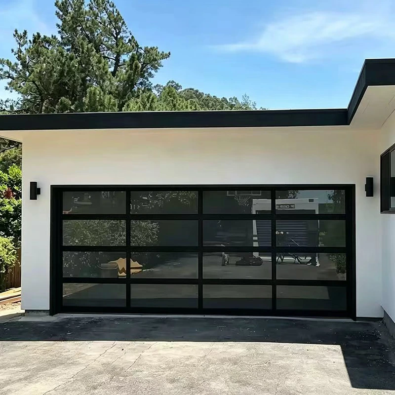 Glass Sectional Garage Door