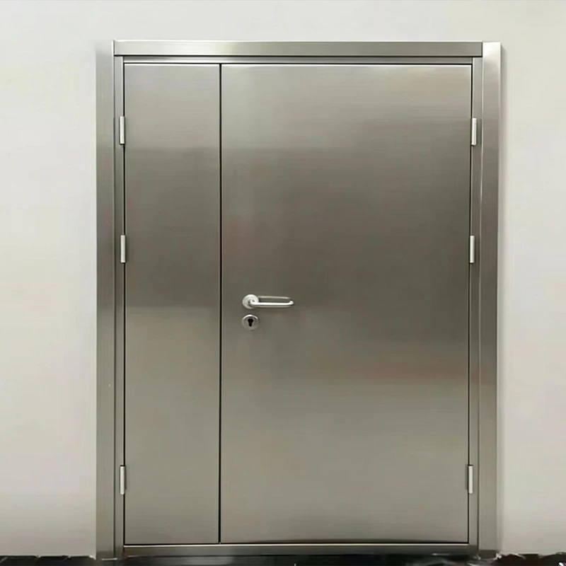 Steel Fire Door 